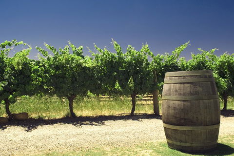 Pinnacles Desert Private Tour - Accommodation Broadbeach 5