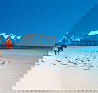 Margaret River and Geographe Bay Region Day Trip from Perth - Accommodation Broadbeach