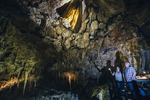 Ngilgi Cave Semi-guided Tour - Accommodation Broadbeach 0