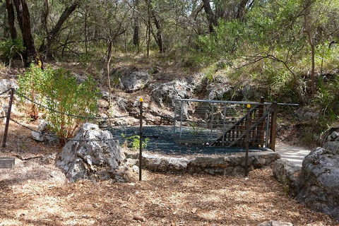 Ngilgi Cave Semi-guided Tour - Accommodation Broadbeach 4