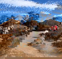 The Big Wave Rock Private Day Tour - Accommodation Broadbeach