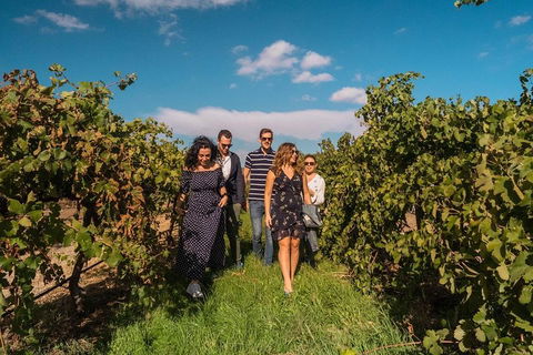 Barossa Valley Private Tour (from 2 To 11 People) - Accommodation Broadbeach 0