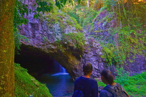 Natural Arch, Rainforest & Volcano Canyon - Private Half Day Tour - Accommodation Broadbeach 4