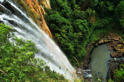 Natural Arch, Rainforest & Volcano Canyon - Private Half Day Tour - Accommodation Broadbeach 5