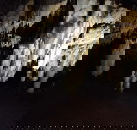 The Pinnacle Adventure Tour - Accommodation Broadbeach