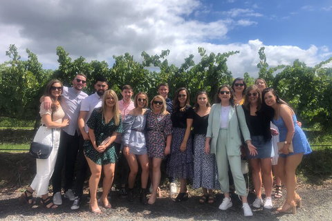 Yarra Valley Public Winery Tours - Accommodation Broadbeach 3