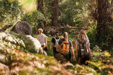 Cabaret Cave Yoga & Mindful Hike - Accommodation Broadbeach 2