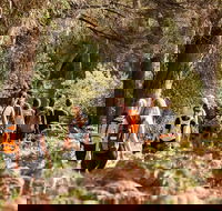 Half-Day Yanchep Ghost House Wilderness Guided Hike Tour - Accommodation Broadbeach