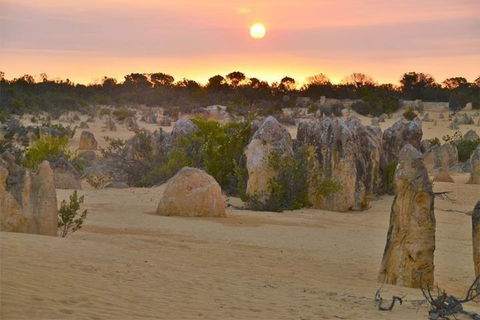Pinnacle Desert Sunset And Stargazing With Dinner - Accommodation Broadbeach 5