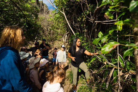 Cape Byron Aboriginal Tour - Accommodation Broadbeach 4