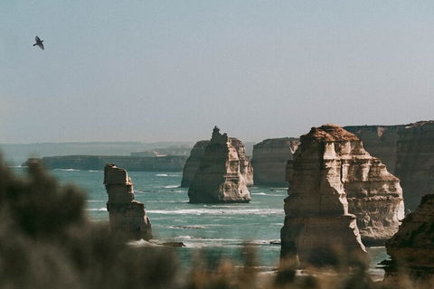 Half-Day Or Full-Day Tour With Private Guide From Melbourne - Accommodation Broadbeach 0