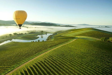 Half-Day Or Full-Day Tour With Private Guide From Melbourne - Accommodation Broadbeach 4