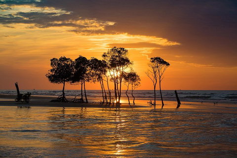Delightful Darwin Self-Guided Audio Tour - Accommodation Broadbeach 3