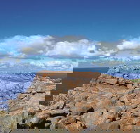 4 Day Tour Albany Margaret River Valley of the Giants TreeTop Walk from Perth - Accommodation Broadbeach