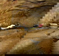 2-Day Wave Rock York Wildflowers  Aboriginal Experience - Accommodation Broadbeach