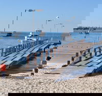 Monkey Mia Dolphins  Shark Bay Air Tour From Perth - Accommodation Broadbeach