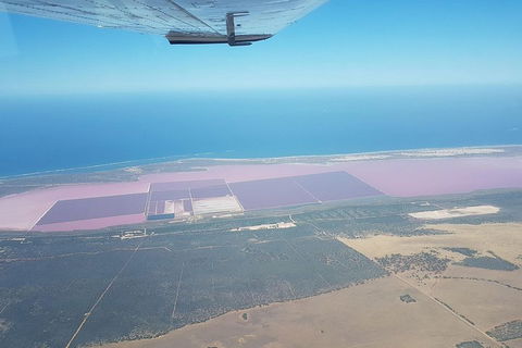 Monkey Mia Dolphins & Shark Bay Air Tour From Perth - Accommodation Broadbeach 5