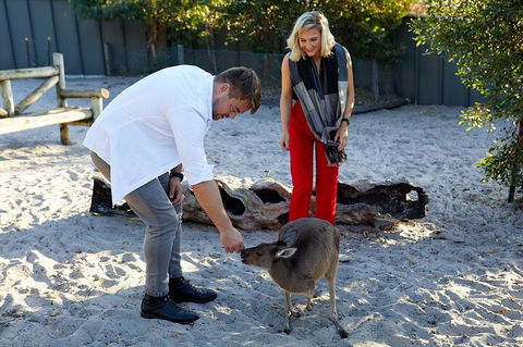 Albany's Whale Story - Accommodation Broadbeach 1
