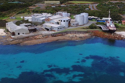 Albany's Whale Story - Accommodation Broadbeach 4