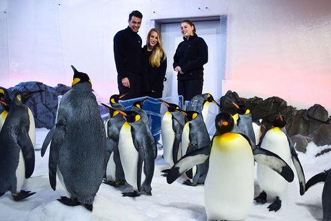 Penguin Passport At SEA LIFE Melbourne Aquarium - Accommodation Broadbeach 4