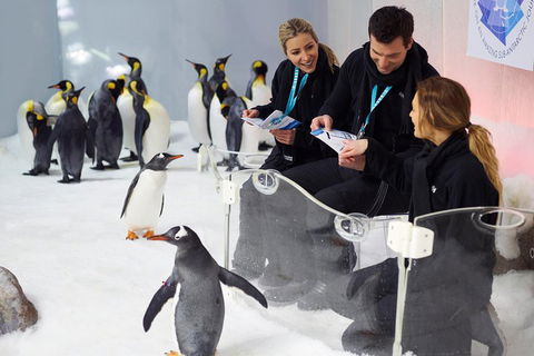 Penguin Passport At SEA LIFE Melbourne Aquarium - Accommodation Broadbeach 5