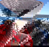 Adventure Rottnest Tour with Ferry  Adventure Cruise from Perth or Fremantle - Accommodation Broadbeach