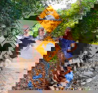 Cape Tribulation Daintree Rainforest and Wildlife Tour - Accommodation Broadbeach