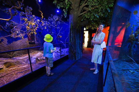 Wildlife Habitat Port Douglas - Accommodation Broadbeach 4