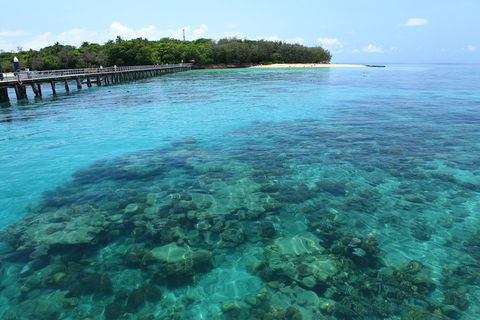 Cairns City Sights And Surrounds Tour - Accommodation Broadbeach 1