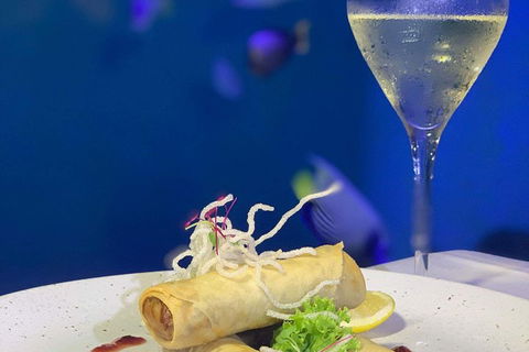 Cairns Aquarium And Small Group City Sightseeing Tour - Accommodation Broadbeach 5