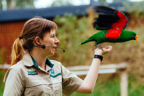 VIP Sanctuary Tour At Healesville Sanctuary Ticket - Accommodation Broadbeach 0