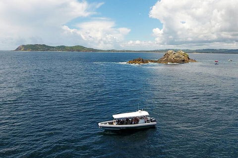 Julian Rocks Byron Bay Cruise - Accommodation Broadbeach 5