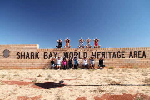 6-Day Coral Coaster From Perth To Exmouth One-Way Via Monkey Mia Ningaloo Reef - Accommodation Broadbeach 4