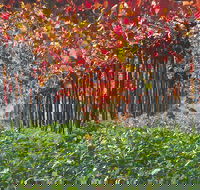 Margaret River Private Tour - Accommodation Broadbeach