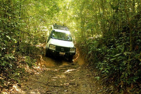 Barron Gorge And Kuranda National Park Half Day Rainforest And Waterfall 4WD Tour From Cairns - Accommodation Broadbeach 2
