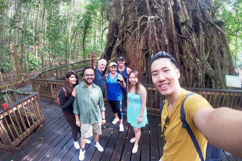Barron Gorge And Kuranda National Park Half Day Rainforest And Waterfall 4WD Tour From Cairns - Accommodation Broadbeach 5
