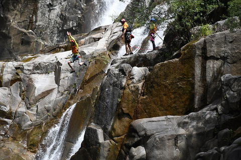 Behana Canyon Rainforest And Waterfall Experience - Accommodation Broadbeach 2