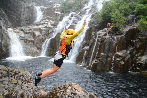 Behana Canyon Rainforest And Waterfall Experience - Accommodation Broadbeach 3
