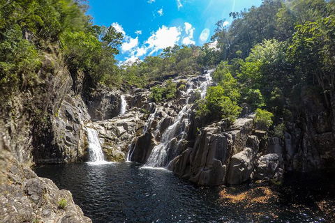 Behana Canyon Rainforest And Waterfall Experience - Accommodation Broadbeach 5