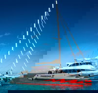 Passions of Paradise Great Barrier Reef Snorkel and Dive Cruise from Cairns by Luxury Catamaran - Accommodation Broadbeach