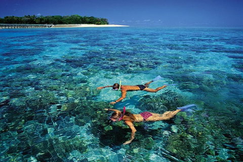 Green Island Day Trip From Cairns - Accommodation Broadbeach 5