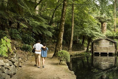Discover Tour: Dandenong Ranges & William Ricketts Sanctuary - Accommodation Broadbeach 0