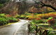 Discover Tour: Dandenong Ranges & William Ricketts Sanctuary - thumb 3