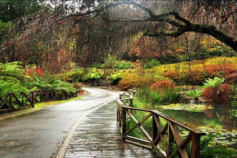 Discover Tour: Dandenong Ranges & William Ricketts Sanctuary - Accommodation Broadbeach 3