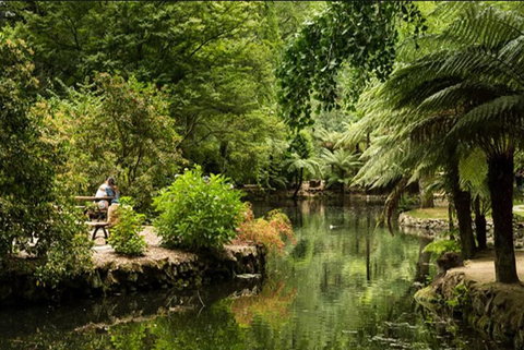 Discover Tour: Dandenong Ranges & William Ricketts Sanctuary - Accommodation Broadbeach 4