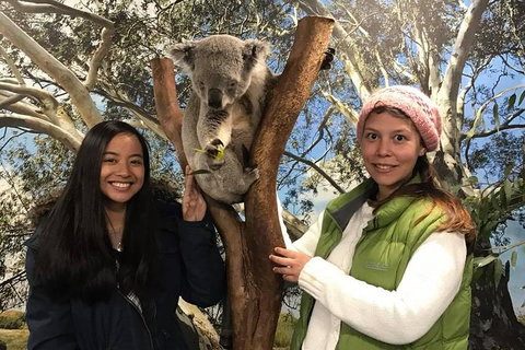 Australia Multi-City Attractions Pass - Accommodation Broadbeach 3