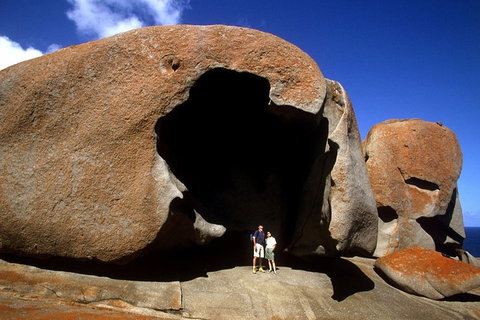 Full-Day Kangaroo Island Safari From Penneshaw - Accommodation Broadbeach 0