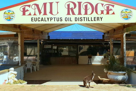 Full-Day Kangaroo Island Safari From Penneshaw - Accommodation Broadbeach 2