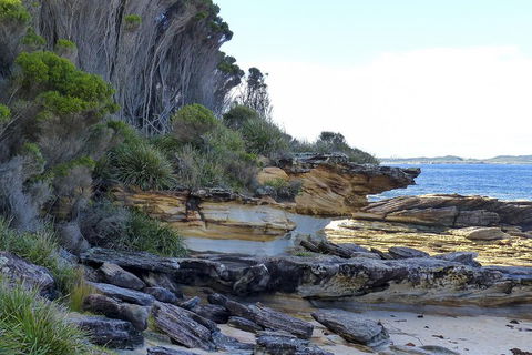 Day Trip To Cronulla & The Royal National Park - Accommodation Broadbeach 4