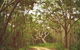 Day Trip To Cronulla & The Royal National Park - thumb 5